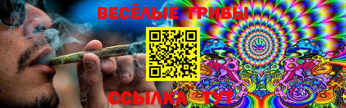 Галлюциногенные грибы мухоморы Бутурлиновка