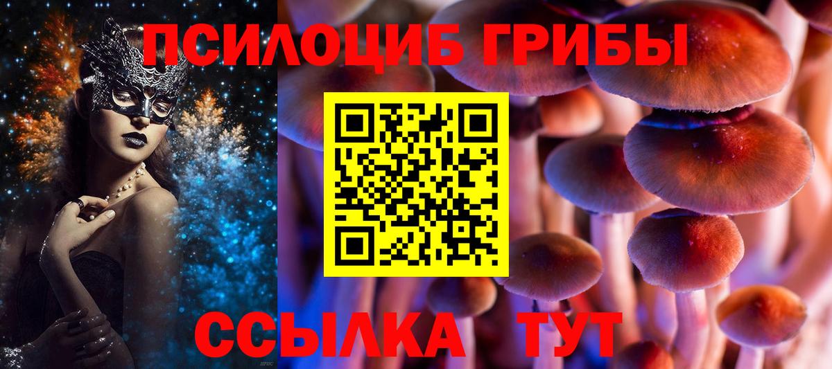 Бутурлиновка  Галлюциногенные грибы Cubensis  Галлюциногенные грибы GOLDEN TEACHER  Вход с VPN 
